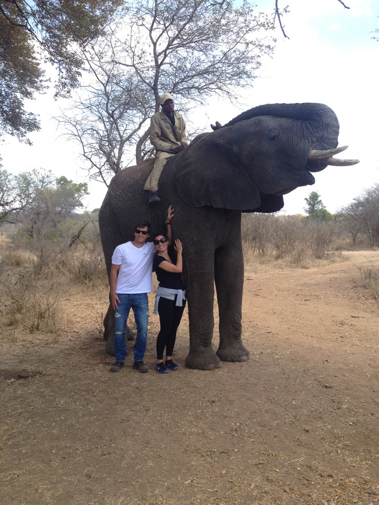 interação com Elefante