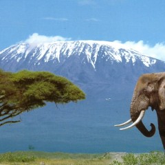 Tanzânia – Beyond Luxury Safaris