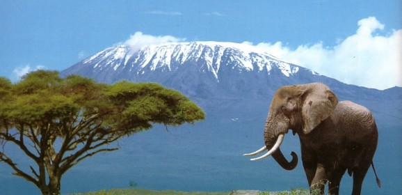 Tanzânia – Beyond Luxury Safaris