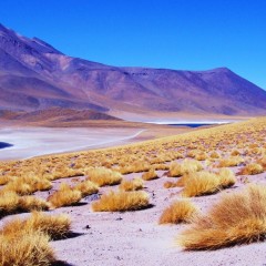 Atacama e Salar de Uyuni Econômico 9dias