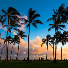 O Melhor do Hawaii – 18 dias / 15noites