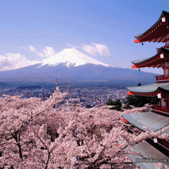 Japão das Cerejeiras – Toho & Hakodate – Abril 2020