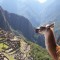 Peru-Machu Picchu com Guia Brasileiro – Saída 17/09/2016