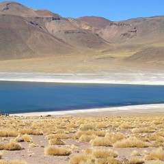 Deserto do Atacama – 7 Dias
