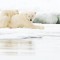 Ursos Polares em Churchill – 8dias/6noites