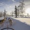 Lapônia Finlandesa – Lendas de Natal